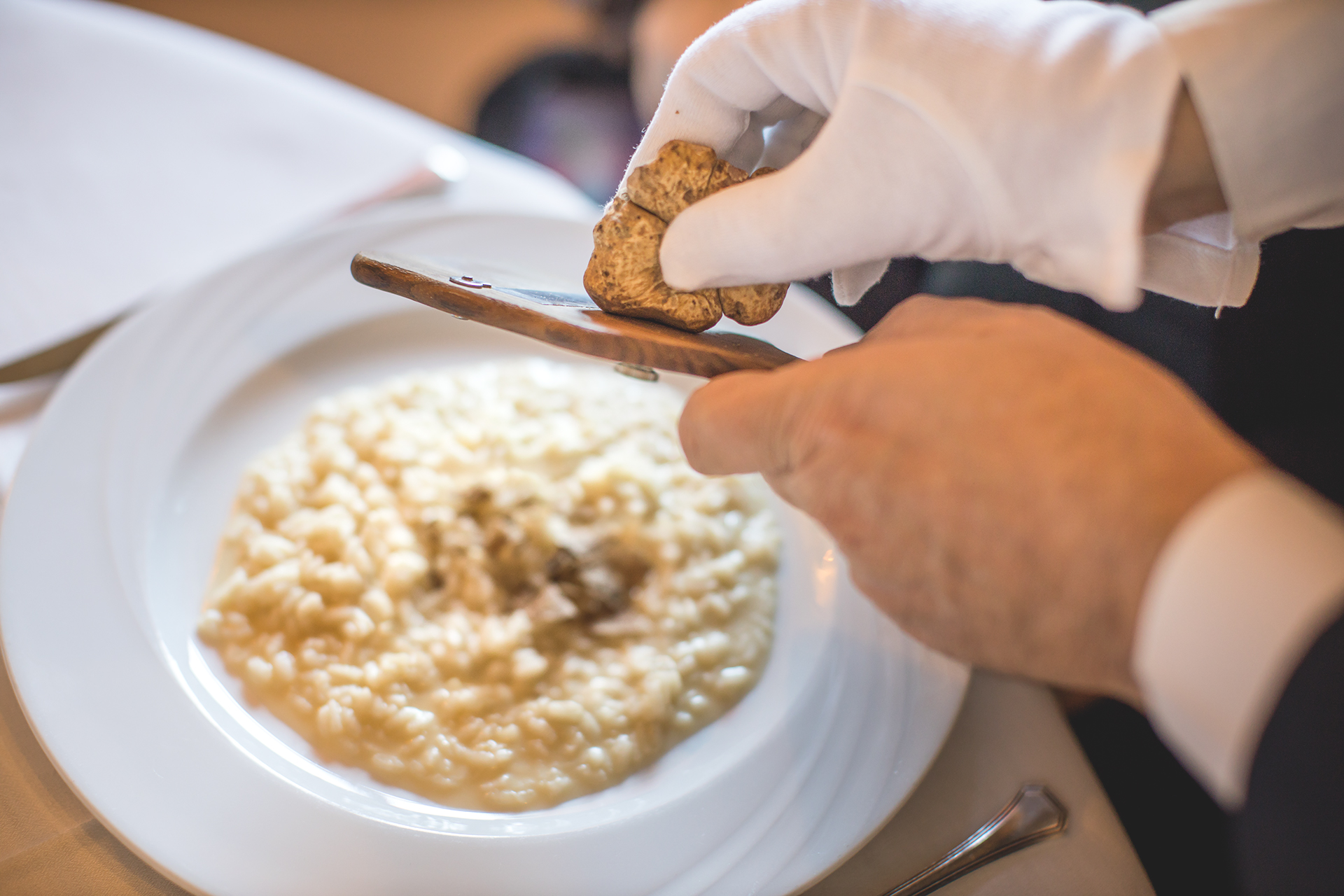 Alla scoperta del tartufo!